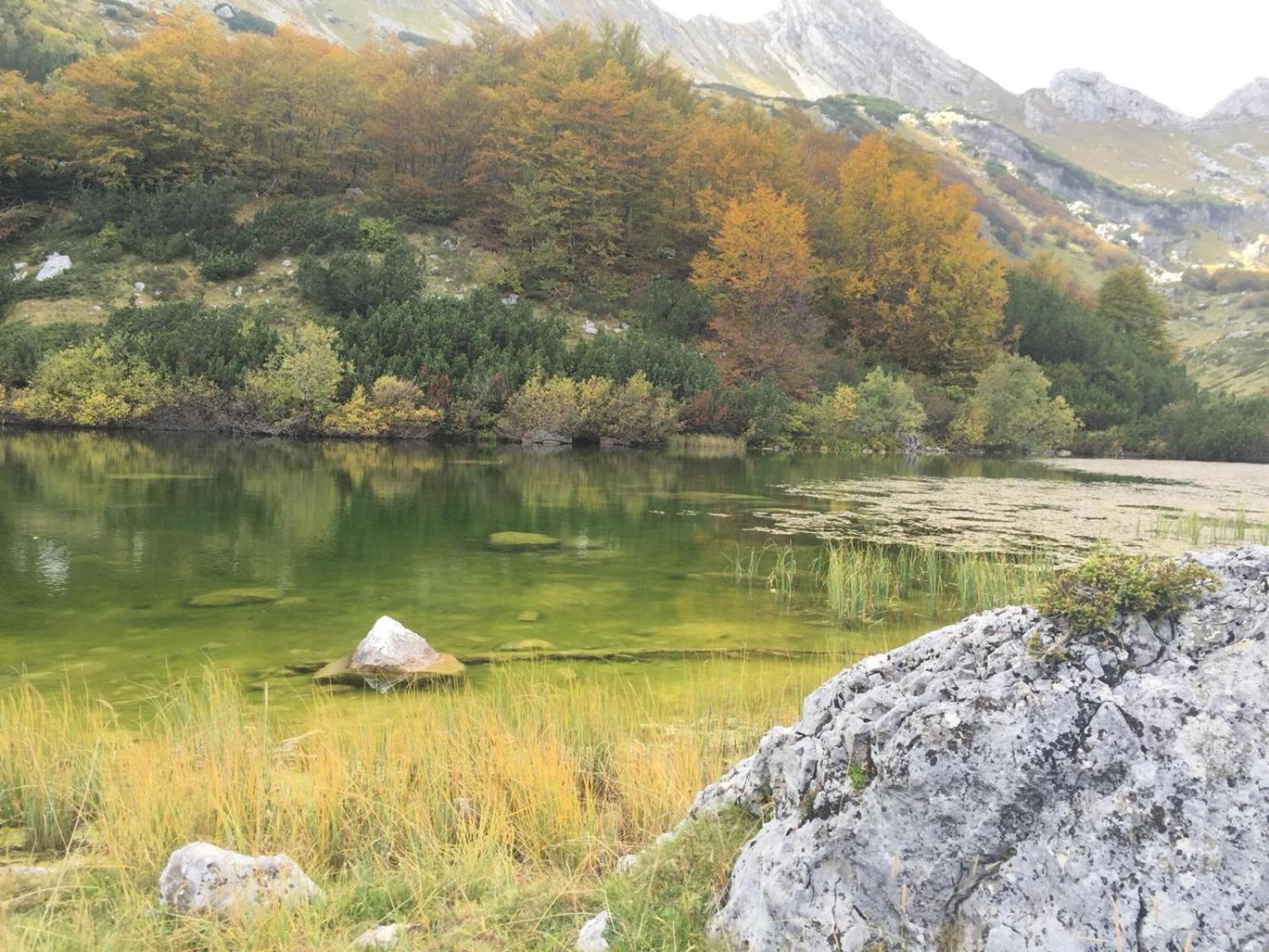 Chalet Kovacevic Zabljak  Bagian luar foto