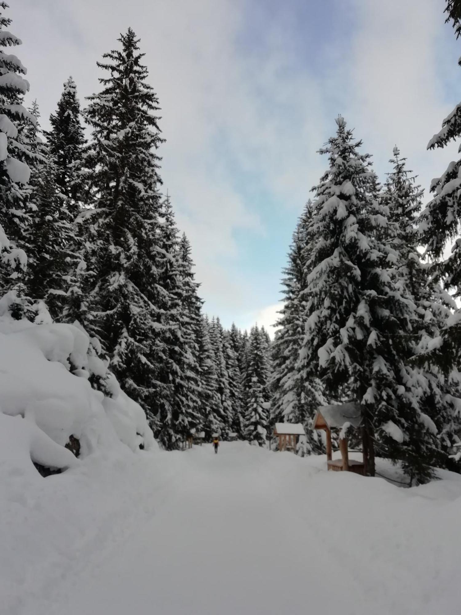 Chalet Kovacevic Zabljak  Bagian luar foto